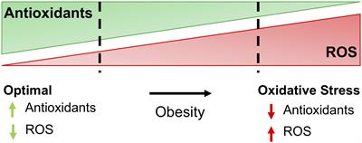 The Impact of Oxidative Stress on Adipose Tissue Energy Balance